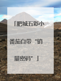 肥城五彩小番茄自带“销量密码”
